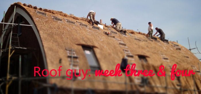 Roof guy week 3-4 featured